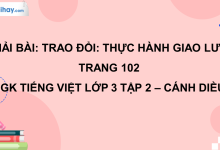 Trao đổi: Thực hành giao lưu trang 102 SGK Tiếng Việt 3 tập 2 Cánh diều>