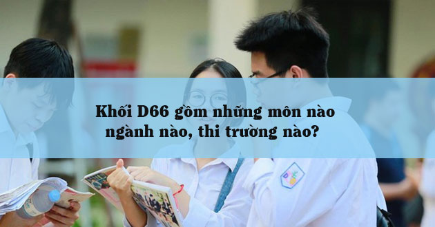 Khối D66 gồm những môn nào, ngành nào, thi trường nào?