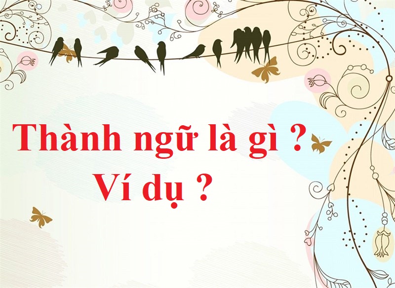 Thành ngữ là gì?