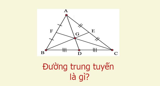 Đường trung tuyến là gì?