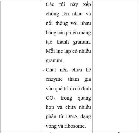 Giải Sinh học 10 Bài 8: Tế bào nhân thực (ảnh 1)