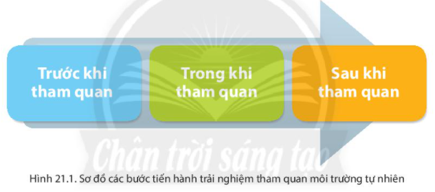 Giải Địa Lí 6 Bài 21: Thực hành: Tìm hiểu môi trường tự nhiên qua tài liệu và tham quan địa phương - Chân trời sáng tạo (ảnh 1)