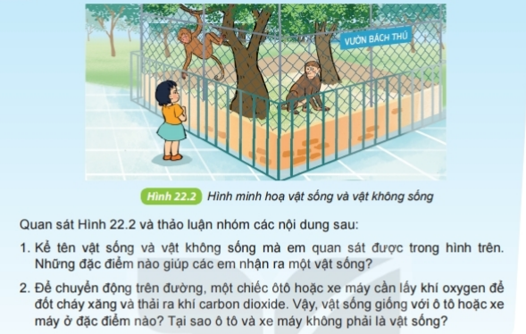 Tài liệu THCS Bình Chánh