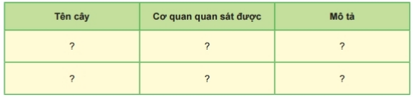 Tài liệu THCS Bình Chánh