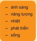 Tài liệu THCS Bình Chánh