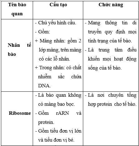 Giải Sinh học 10 Bài 8: Tế bào nhân thực (ảnh 1)