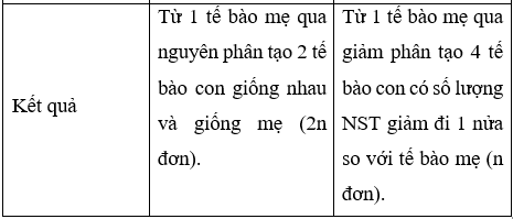 Giải Sinh học 10 Bài 17: Giảm phân (ảnh 1)