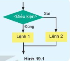 Giải Tin học 10 Bài 19: Câu lệnh rẽ nhánh if - Kết nối tri thức (ảnh 1)