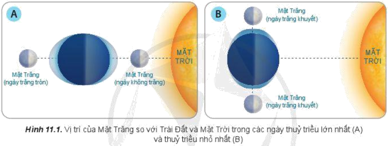 Giải Địa 10 Bài 11: Nước biển và đại dương - Cánh diều (ảnh 1)