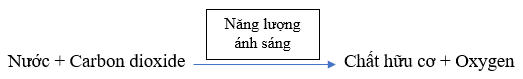 Khoa học tự nhiên 7 Bài 19: Các yếu tố ảnh hưởng đến quang hợp - Cánh diều (ảnh 1)