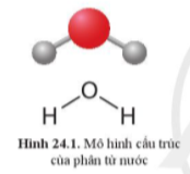 Khoa học tự nhiên 7 Bài 24: Vai trò của nước và các chất dinh dưỡng đối với cơ thể sinh vật - Cánh diều (ảnh 1)