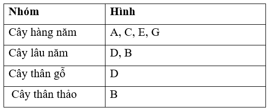 Giải Công nghệ 10 Bài 2: Phân loại cây trồng - Cánh diều (ảnh 1)