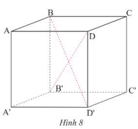 Toán 7 Bài 1: Hình hộp chữ nhật - Hình lập phương - Chân trời sáng tạo (ảnh 1)