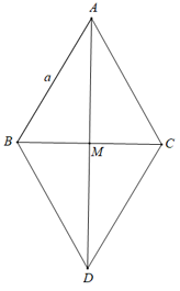 Cho tam giác đều ABC có cạnh bằng a. Tính độ dài các vectơ (ảnh 1)