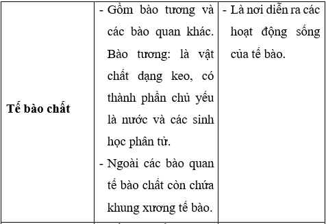 Giải Sinh học 10 Bài 8: Tế bào nhân thực (ảnh 1)