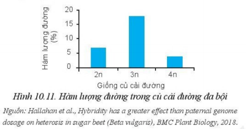 Giải Công nghệ 10 Bài 10: Phương pháp chọn, tạo giống cây trồng - Cánh diều (ảnh 1)