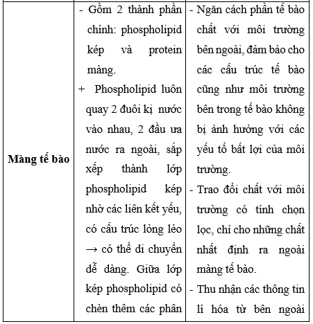 Giải Sinh học 10 Bài 8: Tế bào nhân thực (ảnh 1)