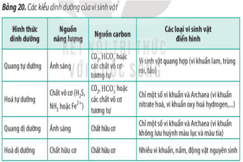 Giải Sinh học 10 Bài 20: Dự đa dạng và phương pháp nghiên cứu vi sinh vật (ảnh 1)