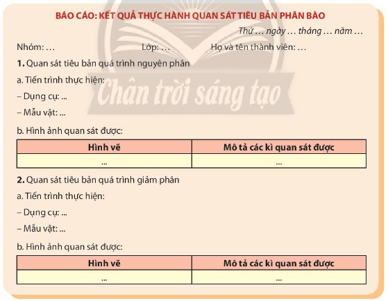 Giải Sinh học 10 Bài 20 (Chân trời sáng tạo): Thực hành: Quan sát tiêu bản các kì phân bào nguyên phân và giảm phân  (ảnh 1)