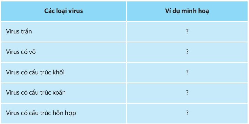 Giải Sinh học 10 Ôn tập chương 6 (Chân trời sáng tạo) (ảnh 1)