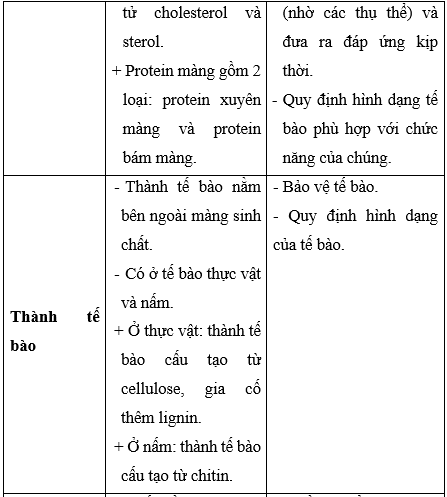 Giải Sinh học 10 Bài 8: Tế bào nhân thực (ảnh 1)