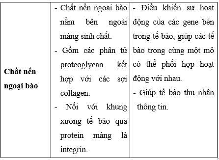 Giải Sinh học 10 Bài 8: Tế bào nhân thực (ảnh 1)