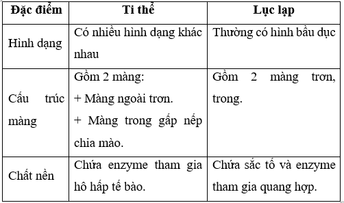 Giải Sinh học 10 Bài 8: Tế bào nhân thực (ảnh 1)