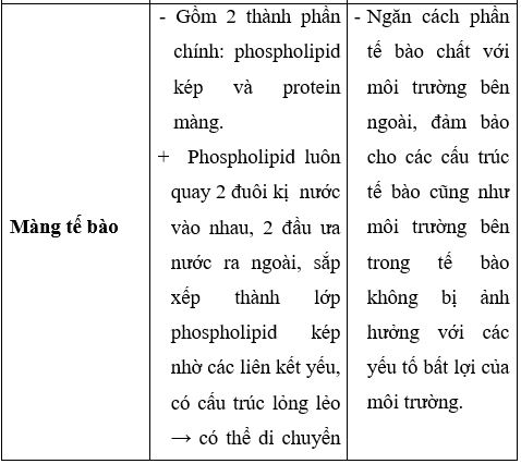 Giải Sinh học 10 Bài 8: Tế bào nhân thực (ảnh 1)