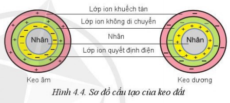 Giải Công nghệ 10 Bài 4: Thành phần và tính chất của đất trồng - Cánh diều (ảnh 1)