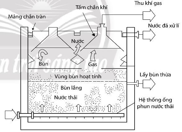 Giải Sinh học 10 Bài 27 (Chân trời sáng tạo): Ứng dụng vi sinh vật trong thực tiễn  (ảnh 1)