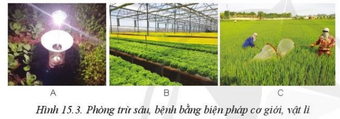 Giải Công nghệ 10 Bài 15: Biện pháp phòng trừ sâu, bệnh hại cây trồng - Cánh diều (ảnh 1)