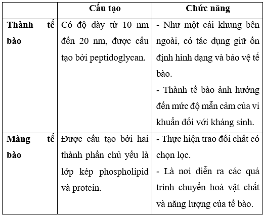 Giải Sinh học 10 Bài 7: Tế bào nhân sơ (ảnh 1)