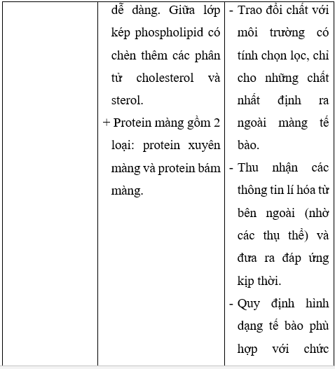 Giải Sinh học 10 Bài 8: Tế bào nhân thực (ảnh 1)