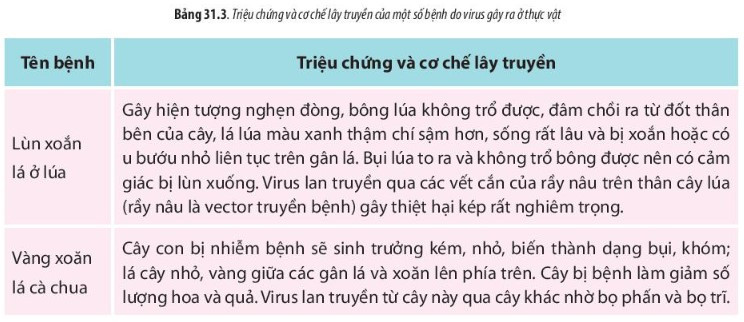 Giải Sinh học 10 Bài 31 (Chân trời sáng tạo): Virus gây bệnh  (ảnh 1)