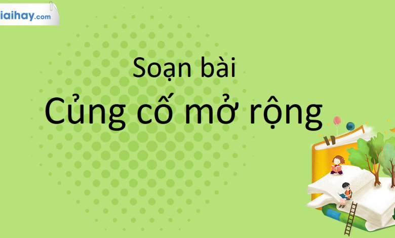 Soạn bài Củng cố, mở rộng trang 121 SGK Ngữ Văn 10 tập 1 Kết nối tri thức - siêu ngắn>