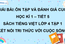 Bài: Ôn tập cuối học kì 1 - Tiết 5 trang 142 SGK Tiếng Việt lớp 4 tập 1 Kết nối tri thức với cuộc sống>