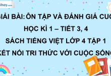 Bài: Ôn tập cuối học kì 1 - Tiết 3, 4 trang 138 SGK Tiếng Việt lớp 4 tập 1 Kết nối tri thức với cuộc sống>