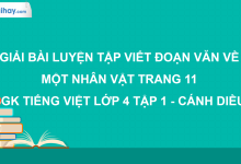 Luyện tập viết đoạn văn về một nhân vật trang 11 SGK Tiếng Việt 4 tập 1 Cánh diều>