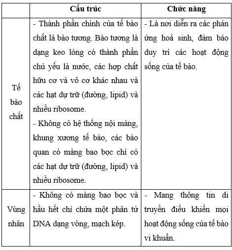 Giải Sinh học 10 Bài 7: Tế bào nhân sơ (ảnh 1)