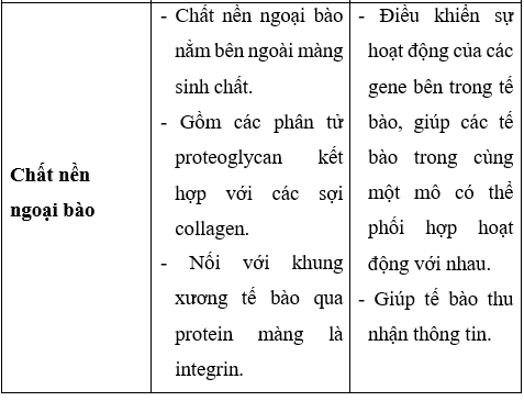 Giải Sinh học 10 Bài 8: Tế bào nhân thực (ảnh 1)