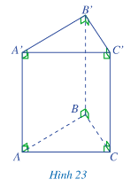 Toán 7 Bài 2: Hình lăng trụ đứng tam giác. Hình lăng trụ đứng tứ giác - Cánh diều (ảnh 1)