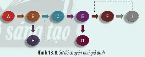 Giải Sinh học 10 Bài 13 (Chân trời sáng tạo): Chuyển hóa vật chất và năng lượng trong tế bào  (ảnh 1)