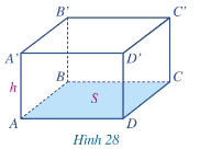 Toán 7 Bài 2: Hình lăng trụ đứng tam giác. Hình lăng trụ đứng tứ giác - Cánh diều (ảnh 1)