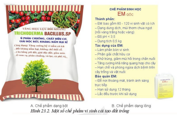 Giải Công nghệ 10 Bài 23: Công nghệ vi sinh trong bảo vệ môi trường và xử lí chất thải trồng trọt - Cánh diều (ảnh 1)