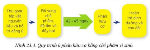 Giải Công nghệ 10 Bài 23: Công nghệ vi sinh trong bảo vệ môi trường và xử lí chất thải trồng trọt - Cánh diều (ảnh 1)