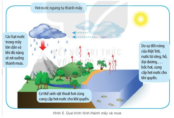 Cho biết giá trị độ ẩm không khí hiển thị (ảnh 1)