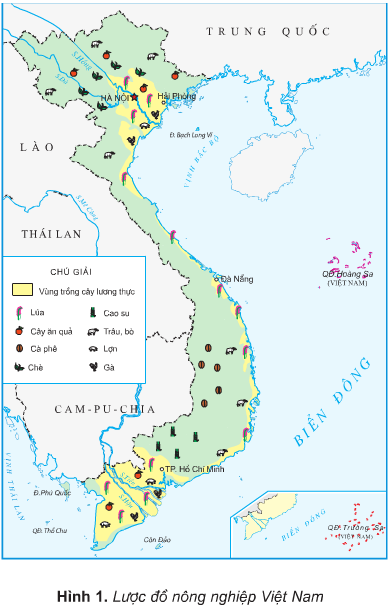 Địa lí lớp 5 Bài 10: Nông nghiệp (ảnh 1)