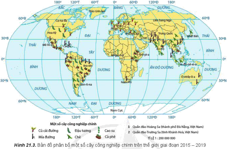 Giải Địa Lí 10 Bài 21: Địa lí các ngành nông nghiệp, lâm nghiệp, thủy sản - Cánh diều (ảnh 1)
