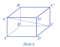 Toán 7 Bài 1: Hình hộp chữ nhật. Hình lập phương - Cánh diều (ảnh 1)