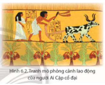 Giải Lịch Sử 10 Bài 6: Văn minh Ai Cập cổ đại (ảnh 1)